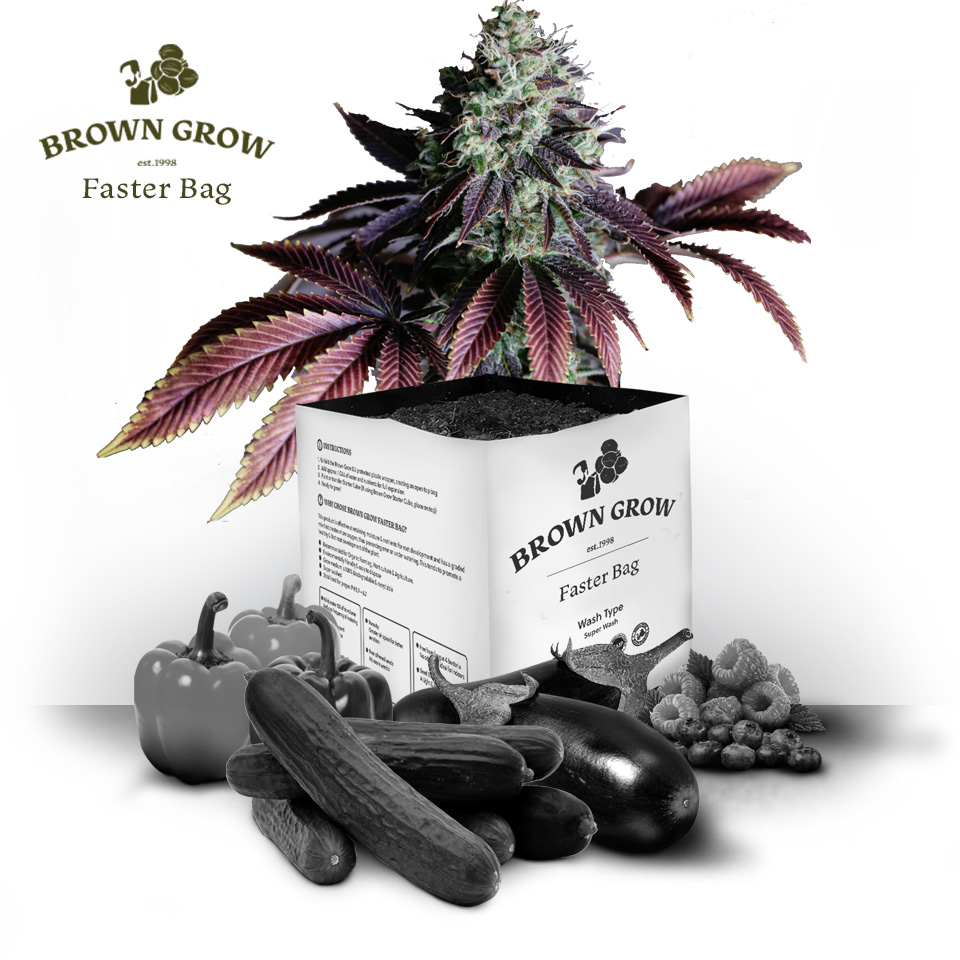 Browngrow Universal Faster Bag