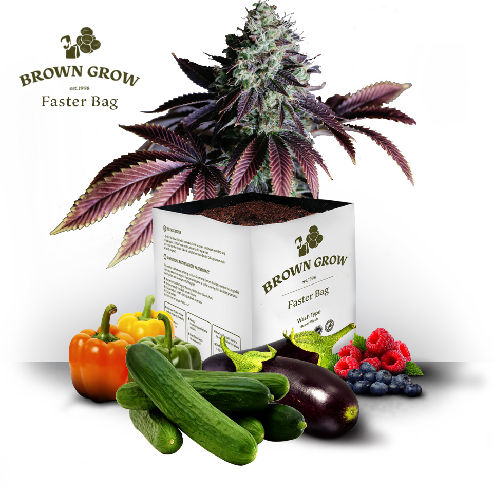 Browngrow Brown Grow Faster Bag product