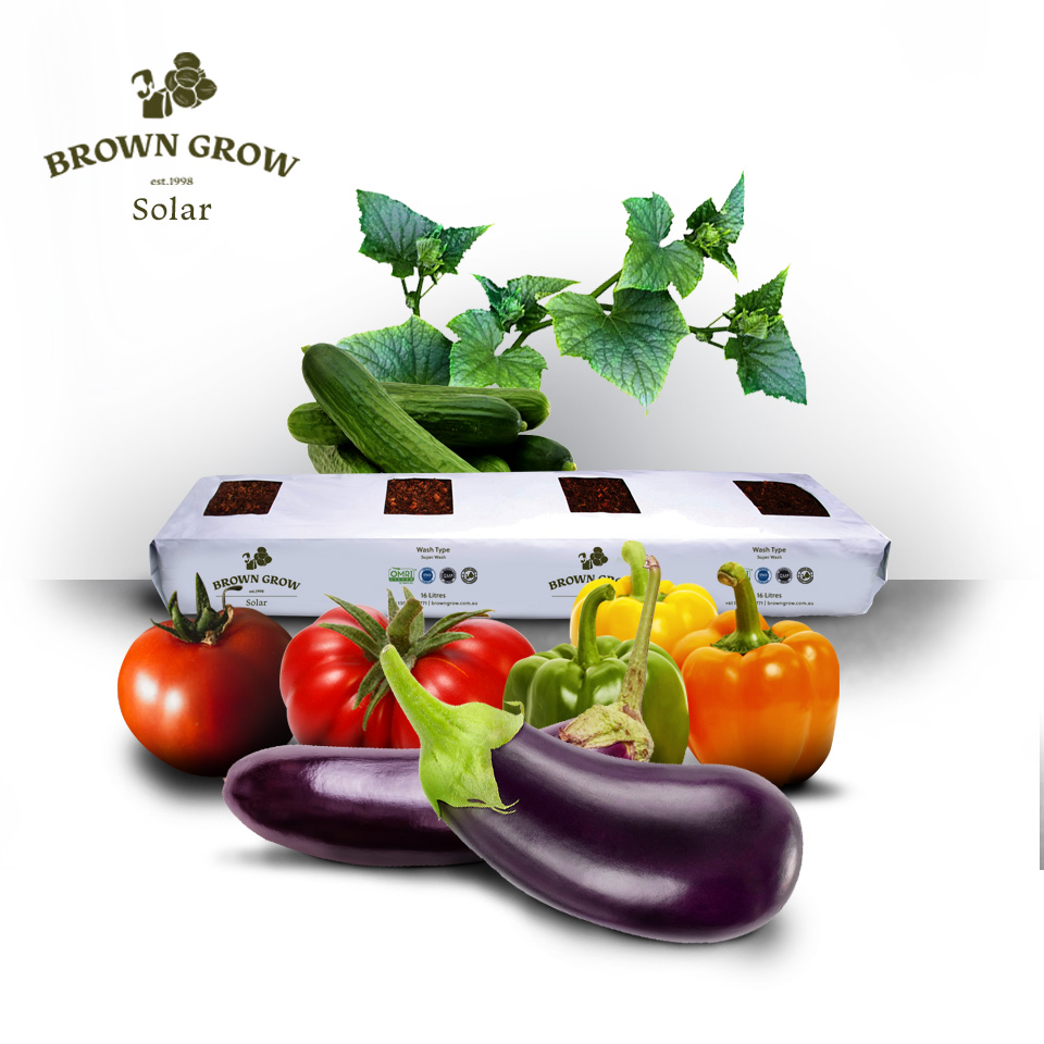 Brown Grow  Solar Grow Bag Product
