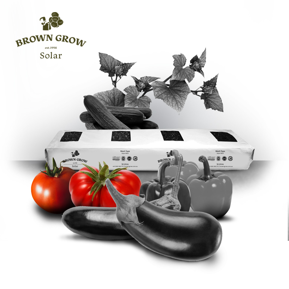 Brown Grow Universal Solar