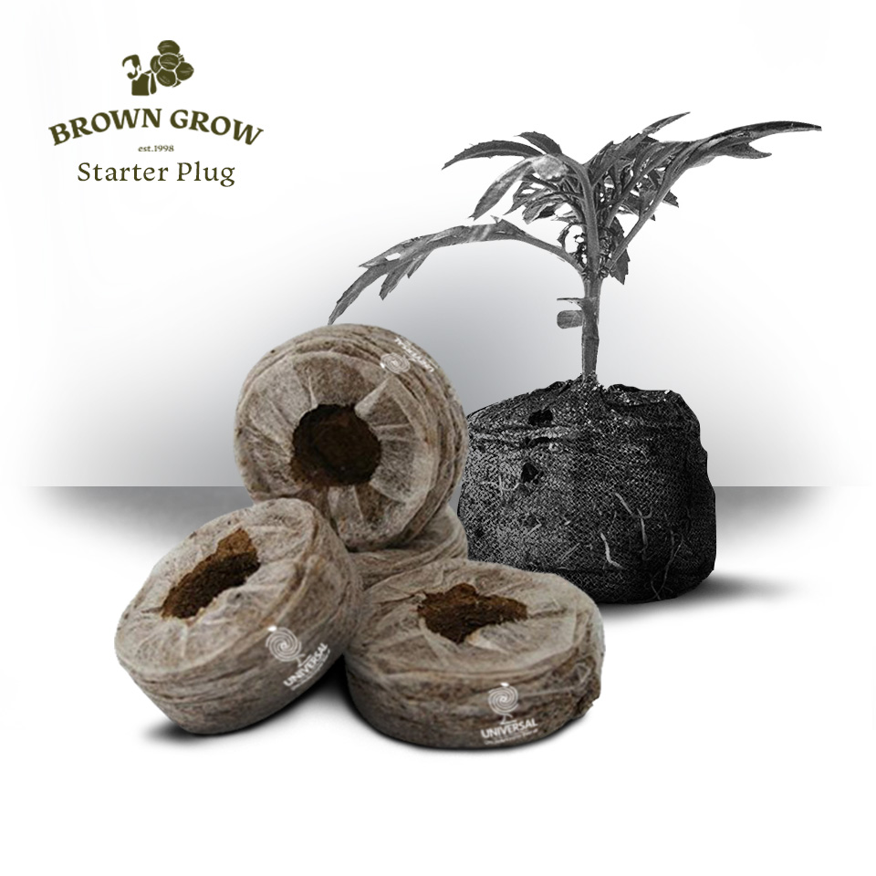 Brown Grow Universal Starter Plug
