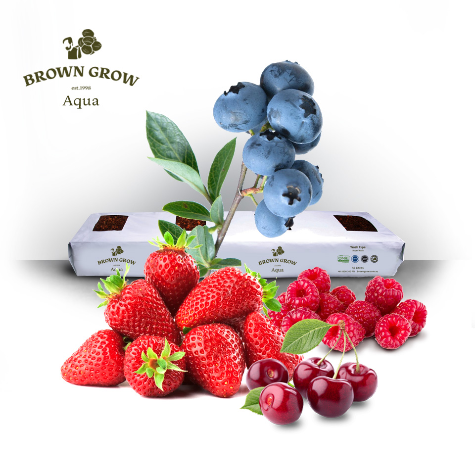 Browngrow aqua product