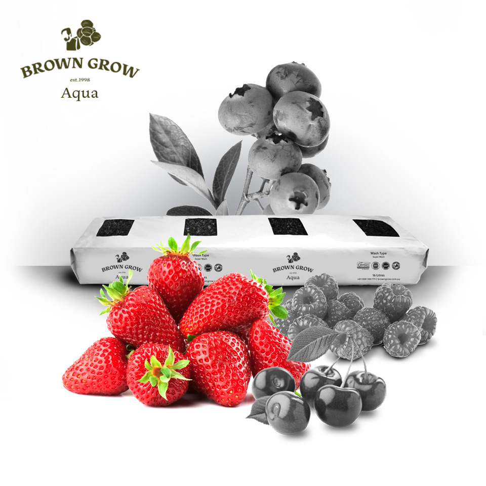 Browngrow Universal Aqua 