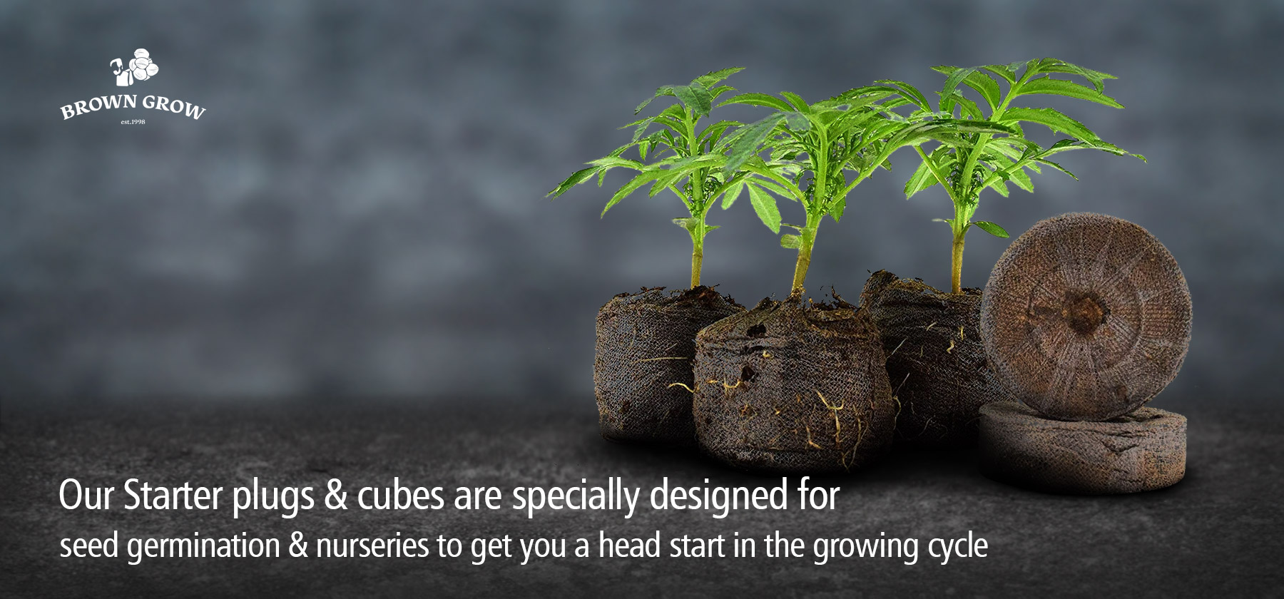 Browngrow Stater Plugs & Cubes