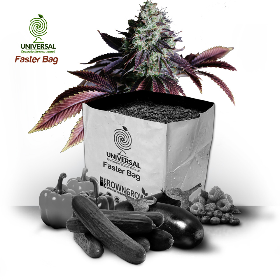 Brown Grow Universal Faster Bag