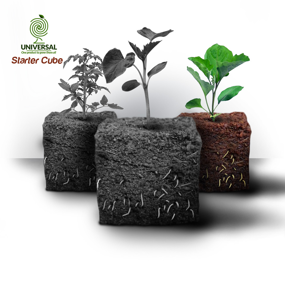 brown grow universal stater cube