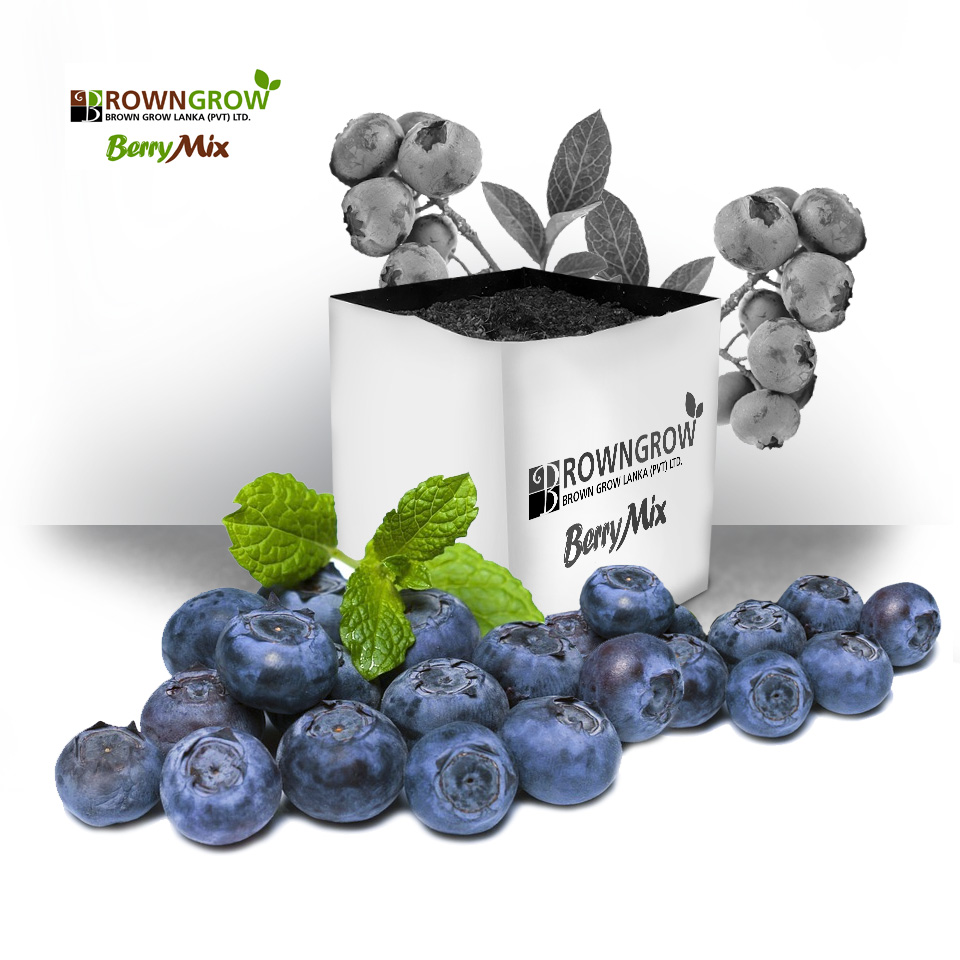 Brown Grow Universal Berry Mix