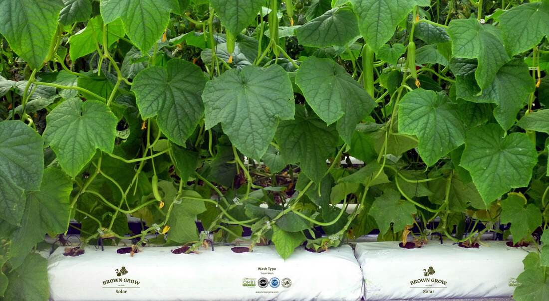 image05